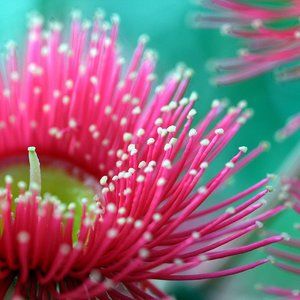 Meet your Posher, Ann